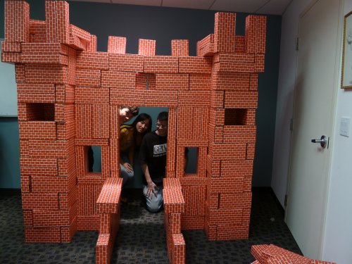 Castle of bricks
