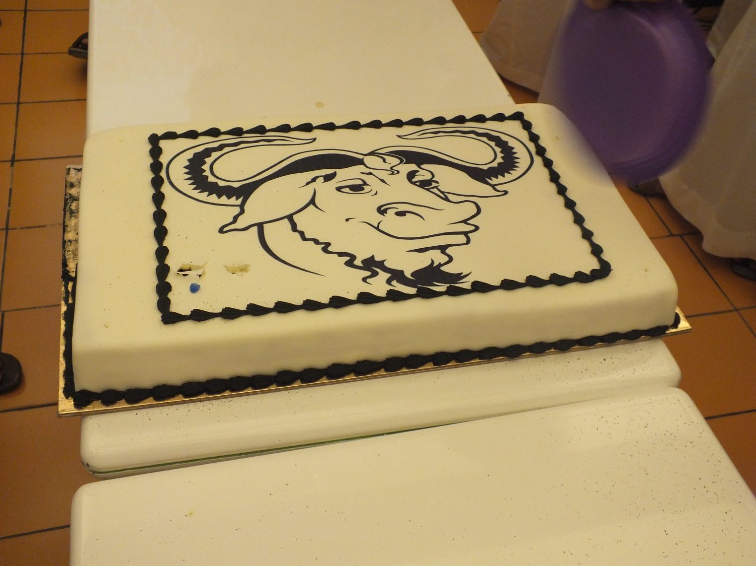 Saudia Arabia GNU cake