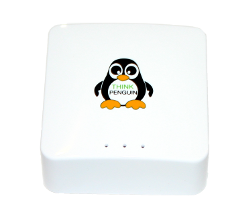 ThinkPenguin VPN router